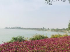 -漕湖湿地公园