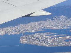 -全日本空输株式会社(上海办事处)