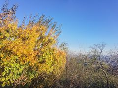 -北京西山国家森林公园