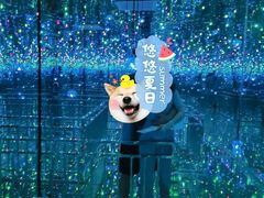 -天津梵高星空艺术馆(天河城旗舰店)