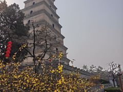 -大慈恩寺(大雁塔)