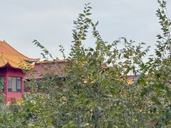 -水磨沟公园