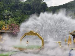 -西双版纳原始森林公园