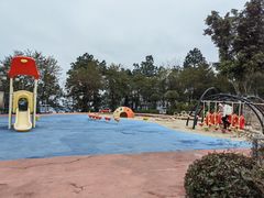 -铁山坪森林公园