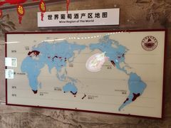 -青岛葡萄酒博物馆