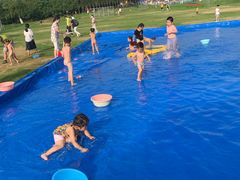 -武汉紫薇都市田园