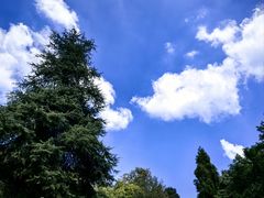 -岣嵝峰国家森林公园