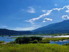 -腾冲北海湿地