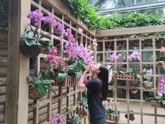 -南山植物园