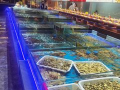 -鸽子张·家宴(大兴店)