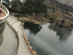 -CoCo都可(上海环球港店)
