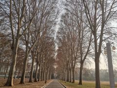 -河南省黄河迎宾馆