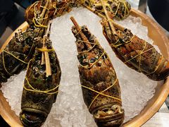 -西安高新洲际酒店•源咖啡全日制餐厅
