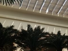 -太湖饭店玉兰厅(自助餐厅)