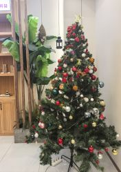 -芳朵美容养生SPA