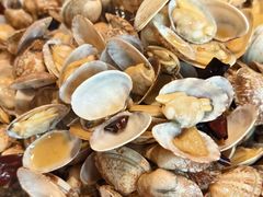 辣炒红岛花蛤-开海·红岛海鲜虾水饺(石老人店)