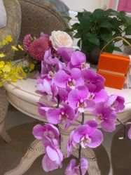 -北京俪婴妇产医院(朝阳大悦城店)