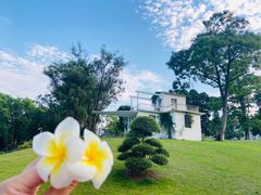 -广西壮族自治区药用植物园