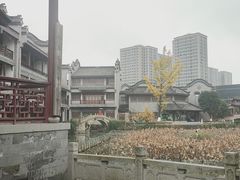 -龙潭水乡