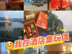 -惠州康帝国际酒店