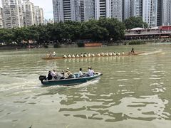 -光明港公园