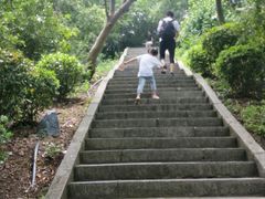 -巢湖姥山岛