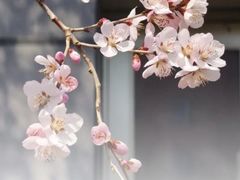 -吉林大学(南岭校区)