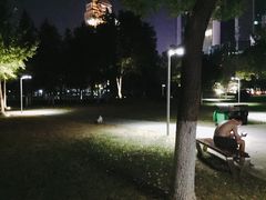 -西北湖绿化广场