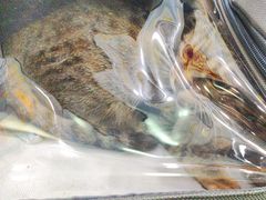 -福懋动物医院·犬猫全科·外科·重症科(杏林分院)