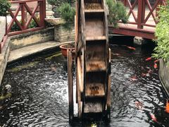 -顺德了能馆(虎门店)