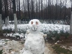 -贵阳市花溪国家城市湿地公园