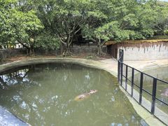 -泉州海丝野生动物世界