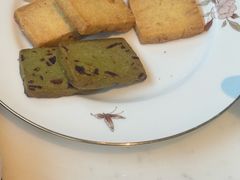 -深圳威尼斯英迪格酒店-邻芙花廊下午茶·NINFA GALLERY·蛋糕·咖啡