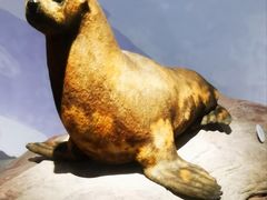 -中国湿地博物馆