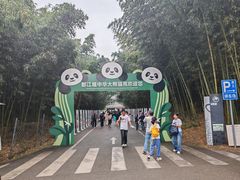 -都江堰中华大熊猫苑