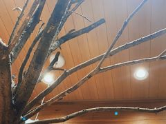 -茶颜悦色(登高路上店)