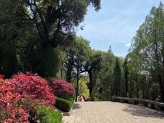 -黑龙潭公园