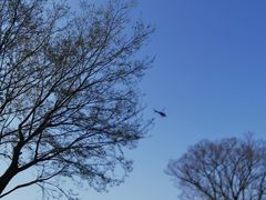 -江南大学(蠡湖校区)