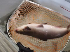 -干老四雅鱼饭店(滨江西路店)