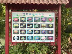 -广州莲花山旅游区