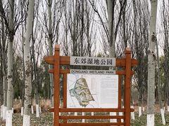 -东郊湿地公园