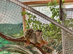 -西霞口神雕山野生动物世界