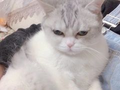 -芭比堂动物医院·犬猫全科·异宠专科(雁塔分院)