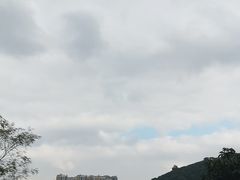 -阳台山森林公园