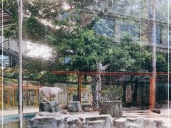 -灵玲国际马戏城