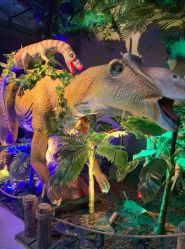 -恐龙探索乐园(磁器口店)