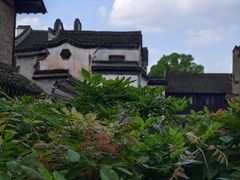 -乌镇景区