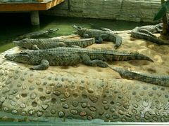 -石家庄市动物园