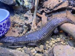 -酷嗒动物文化乐园(cutezoo西溪乐天城店)