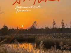 -泗洪洪泽湖湿地景区